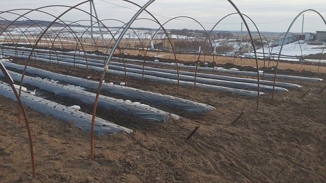 Подготовка к сезону. смотреть онлайн