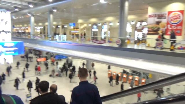 Москва, Домодедово, аэропорт зал регистрации и встречающих, прогулка Алекса смотреть онлайн