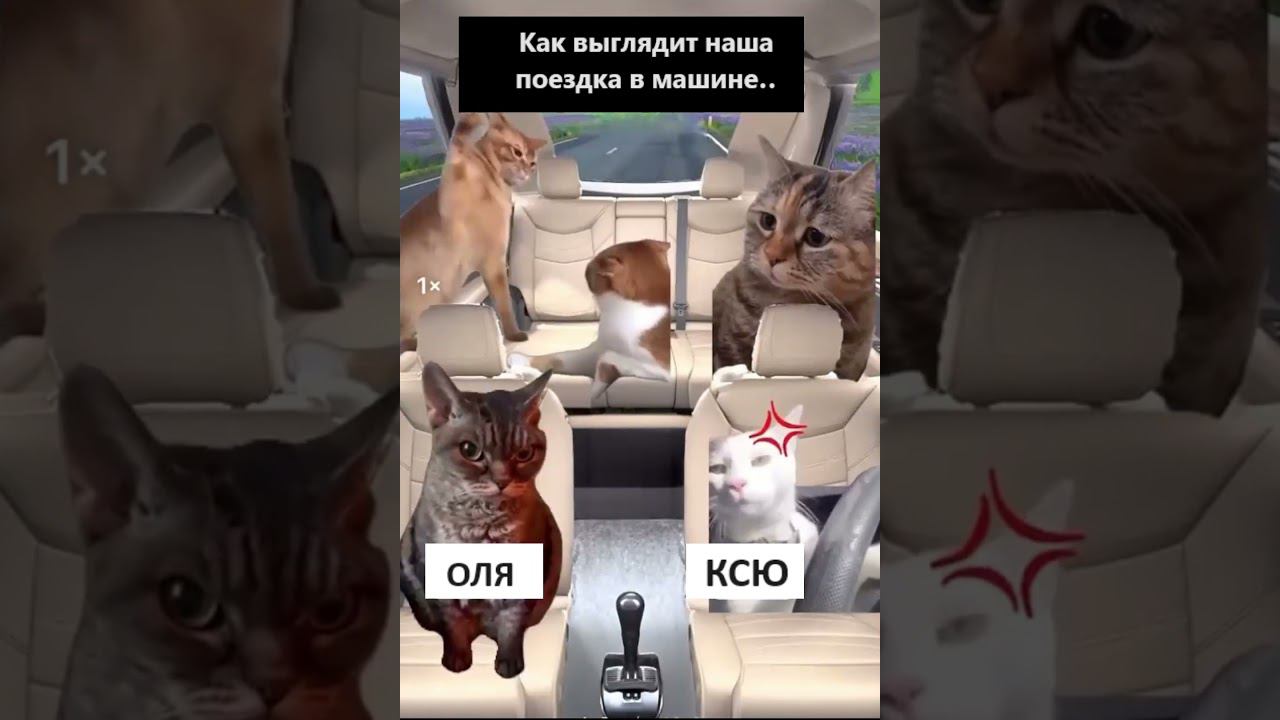 наша поезка в машине смотреть онлайн