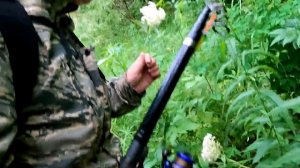 С этой СНАСТЬЮ ты всегда будешь С УЛОВОМ / Дедовский способ ловли рыбы / Как поймать много рыбы