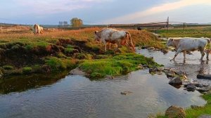 Башкортостан. Весна в Зауралье, май 2023 года.