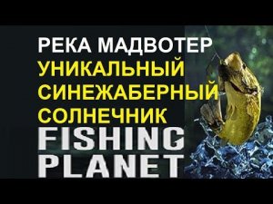 Уникальный синежаберный солнечник на реке Мадвотер в игре Fishing Planet