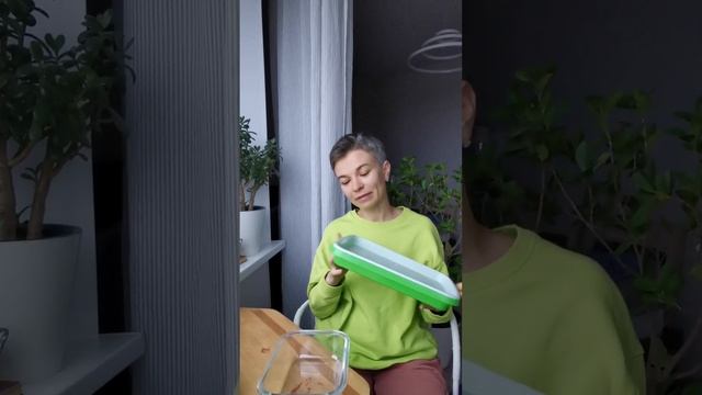 Где лучше растёт микрозелень? Обзор доступных проращивателей для микрозелени, их плюсы и минусы