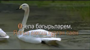 Аерылмагыз.Татарча Караоке