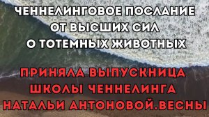 Послание от Высших сил о тотемных животных. Автор: Светлана Калистратова