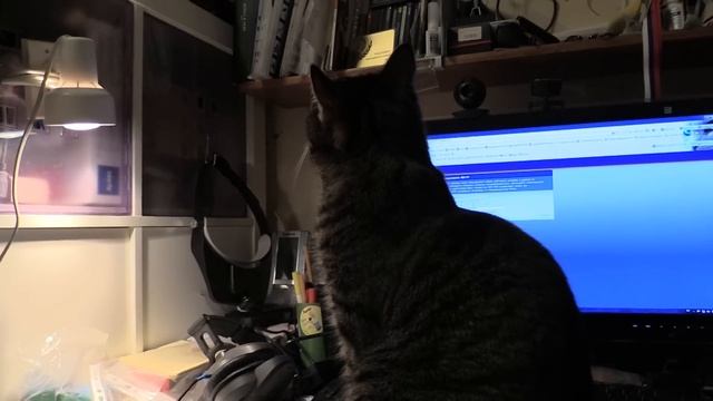 Test camcorder Canon LEGRIA HF G30 смотреть онлайн