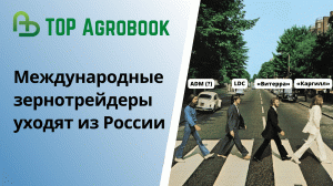 Международные зернотрейдеры уходят из России. TOP Agrobook: обзор аграрных новостей