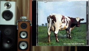 Pink Floyd.Fearless.1971.CD на Yamaha A-S1100+Marantz UD7007+HECO Celan Revolution 3.