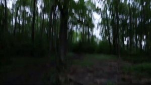 Дудергофские высоты. Гора Ореховая. Самое высокое место в Санкт-Петербурге