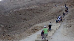 Напиши мне, мама, в Египет