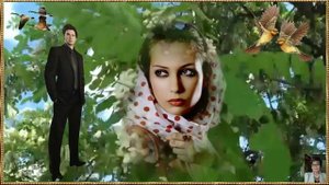 Я акация - поёт и монтаж Антонина Киселёва-Васильева