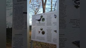 Хтун -Казмоляр_Самурский национальный парк(детская игровая площадка)