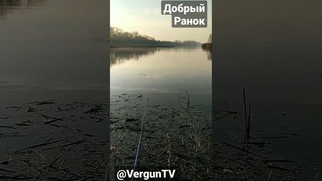 Добрый ранок з берега Дніпра #рыбалка #fishing #verguntv #fish #рыбалка_в_каменском