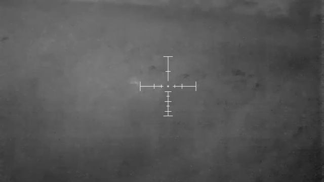 Косуля с подхода