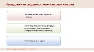 Алгоритм СЛР при ритмах, не подлежащих дефибрилляции (ЭАСБП, асистолия)