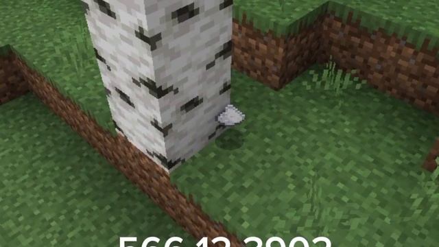 Я фотограф, ставлю камеру на штатив ? смотреть онлайн