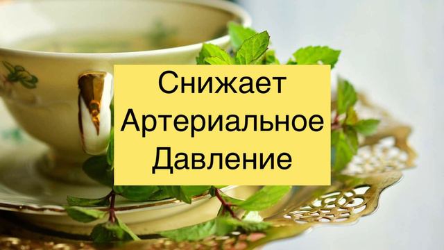 Чем Полезна Мята?