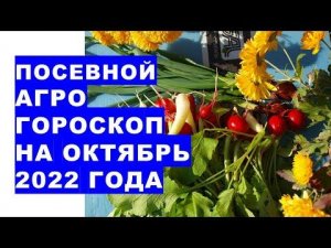 Посевной агрогороскоп на октябрь 2022 года