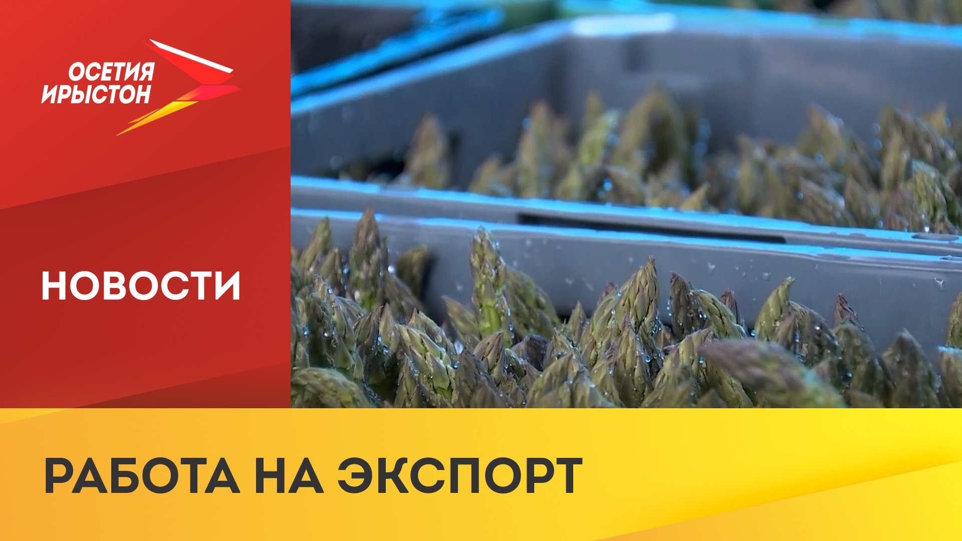 Северная Осетия экспортирует зерно в другие регионы страны