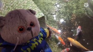 Басик в кинотеатре🎟️📽️