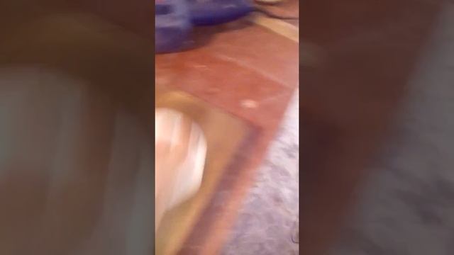 ступени на лестницу