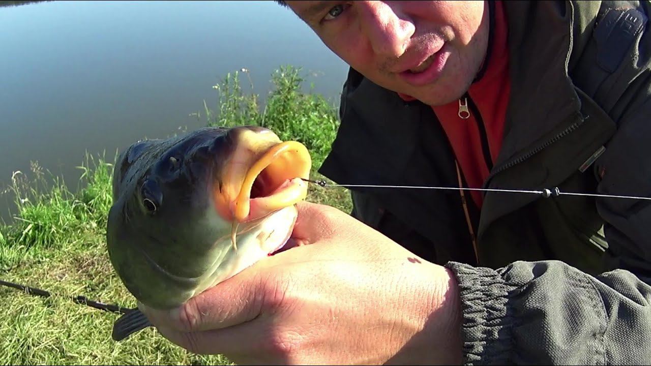 Ловля Карпа на удочку.Рыбалка на карпа.Отличный Боец)! ТРЕСК ФРИКЦИОНА!! Летняя рыбалка 2022г смотреть онлайн