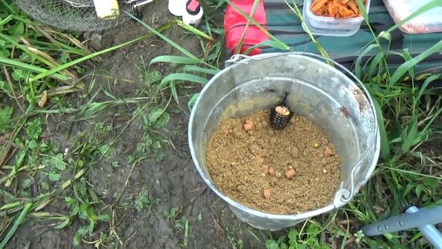 Рыбалка на Оке. 09.06.2019г Фидер.Несимметричная петля+опарыш+мотыль.Одно утро на реке смотреть онлайн