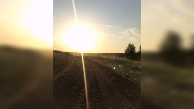 Ромашковое лето