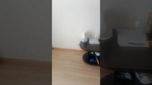 АБХАЗИЯ. ПИЦУНДА, отель АПСАРА, обзор номера.