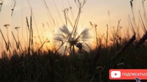 Евгений Косенков. Она любила кошек. Христианские песни..mp4