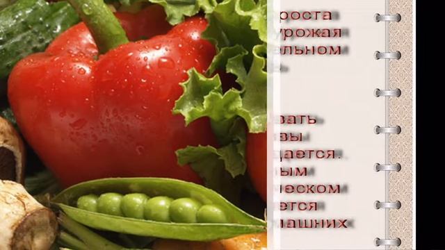 Органическое земледелие   С чего начать