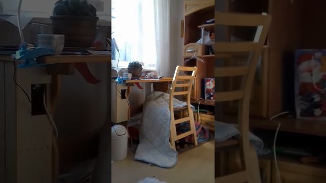 Эллочка сегодня дома- болеем ещё. .. но всегда можно найти чем заняться )
