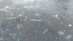 ЛОВИМ ОКУНЯ НА ЖИВЦА / Зимняя рыбалка / УЛОВИСТАЯ СНАСТЬ.