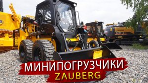 Что внутри Фронтального мини погрузчика Zauberg. Обзор ДСТ