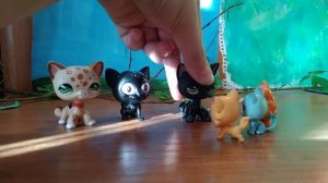 Лпс:сериал коты-воители. Лисичка квшница