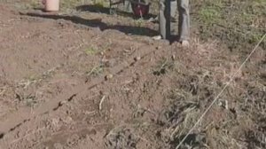 Ленивый огород (полная версия)