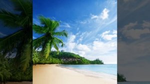 Остров ?️ Христианская песня. Пётр Бальжик