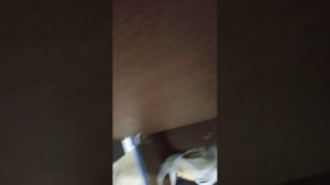 Мебель в гараж за копейки. Моя идея и воплощение.