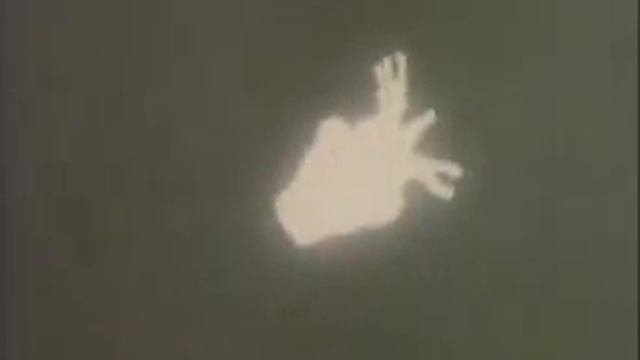 6Размножение гидры смотреть онлайн