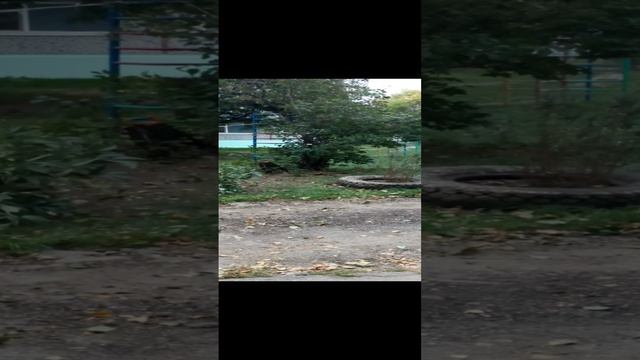 VID_20210915_102035.3gp