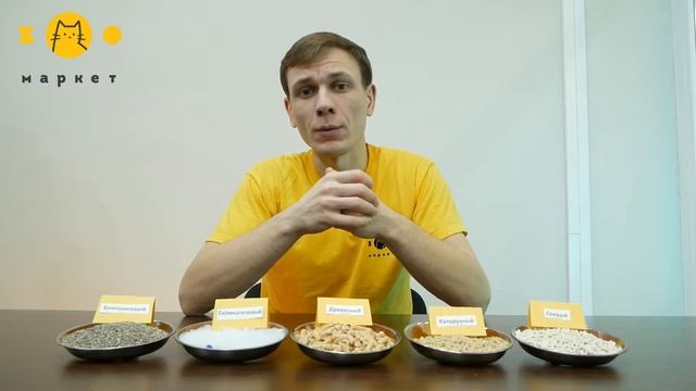 Какой наполнитель лучше? Обзор кошачих наполнителей для туалета