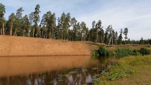 Паника - Колтубанка по Бузулукскому бору. Четвёртый день треккинга по национальному парку в России.