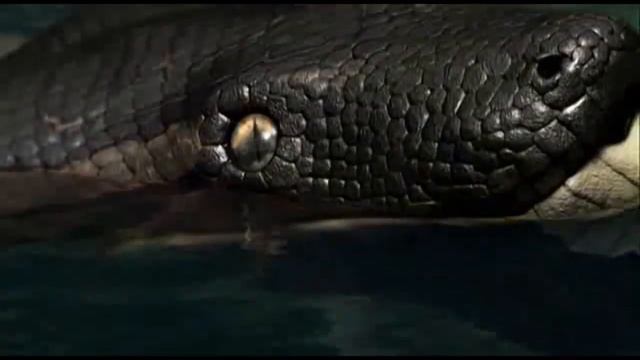 Titanoboa: Monster Snake - Titanoboa cerrejonensis смотреть онлайн