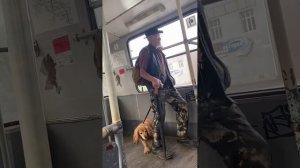 Данный гражданин швырял собаку по троллейбусу. Никаких признаков агрессии собака не проявляла
