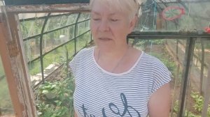 Рассказываю о пользе горячей травы, для мульчирования растений