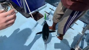 Отличная рыбалка на Пхукете! Тунец, Марлин, Парусник