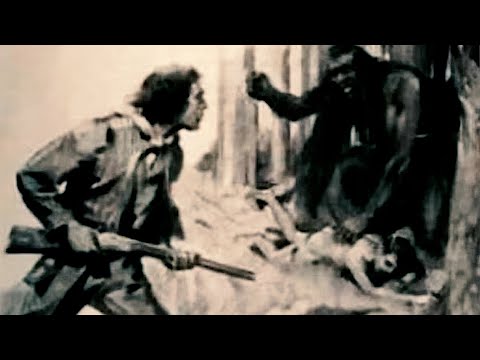 Bigfoot Specimen Captured by Mill Workers