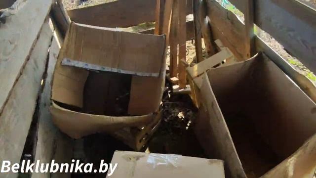 Мурано фриго. Belklubnika.by смотреть онлайн