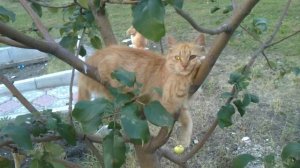 Офигеть, такого я еще не видел!!!!