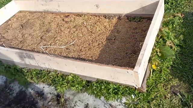 4.10.23г.Постоянно ночью заморозки.Сделали короба под картошку.Заполняю короба! смотреть онлайн